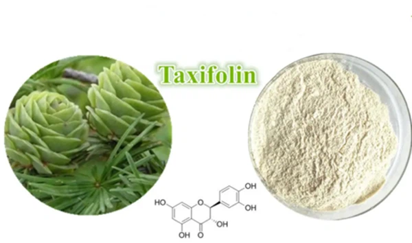 Taxifolin powder Taxifolin powder